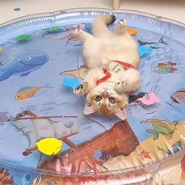 Caminha Divertida Acqua Fish Mundo Pet Love + Bomba de encher de Brinde