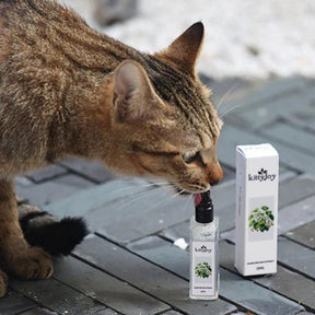 Cat Spray – A Magia da Atração Felina Mundo Pet Love