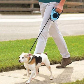 Coleira Guia para Cães e Gatos Mundo Pet Love