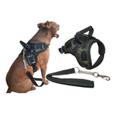 Coleira para Cachorro Grande Porte Mundo Pet Love
